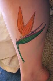 Bird Of Paradise Flower Tattoo Meaning Tattoos Birds Importance Of Bird Tattoo Flash In The Life Of The Bearer Bird Of Paradise Tattoo Paradise Tattoo Tattoos With Meaning