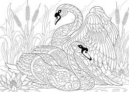 Pin On Free Coloring Pages Fantasy Animals And History