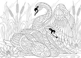 Maybe you would like to learn more about one of these? Pin On Free Coloring Pages Fantasy Animals And History