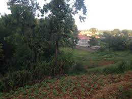 The hotly contested election saw the two saw jublilee's mung'ara win with only 27 votes. Kulta Properties 1 Acre Very Prime Plot For Sale In Muguga