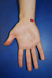Rehaexperte Mit Fingerspitzengefuhl Zu Mehr Gesundheit