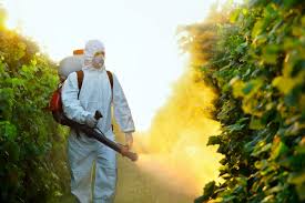 As one of the best exterminators in contact columbia certified pest control address :4611 hardscrabble rd., suite 198 columbia, sc 29229 phone: Termite Damage Repair In Columbia Sc