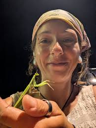 Carpenter ants infestation solutions needed