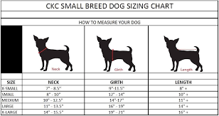 small breed dog sizing chart izzy size small hoss