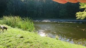 Das ausflugsziel hütter wohld, klosterteich wird von 89 wanderern empfohlen. Hutter Wohld Pond Round Walk Trail Bartenshagen Parkentin Mecklenburg Western Pomerania Germany Pacer
