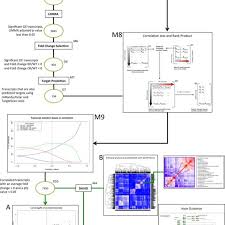 Flow Chart Of Dge Analysis Using Correlation Analysis And