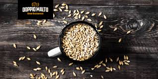 Maybe you would like to learn more about one of these? Malto Per Birra Tutto Cio Che C E Da Sapere Doppio Malto