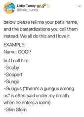 Pin By Avery Welch On Hijinx Hilarity In 2020 Pet Names Names Sayings