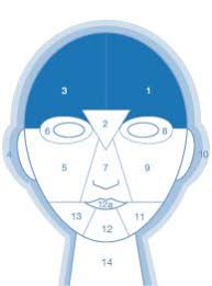 Dermalogica Face Mapping Zones 1 And 3 Bladder And Digestive System Face Mapping Face Mapping Acne Dermalogica