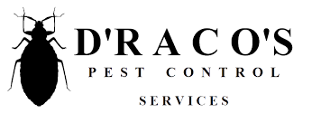 Learn more about a chicago. Termite Inspection Chicago Il Dracos Pest Control