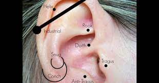 The Exact Location Of The Daith It Should Be Pierced As Deep As Possible To Hit All The Nerves After It Daith Piercing Migraine Cool Piercings Daith Piercing