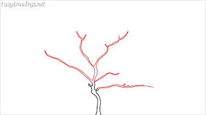 Make it to a small point inside your apple. How To Draw A Apple Tree Step By Step For Beginners