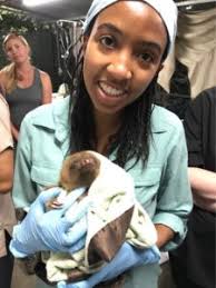 Staff Highlight: Fabiola Clermont