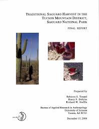 Learn vocabulary, terms and more with flashcards, games and other study tools. I Traditional Saguaro Harvest In The Tucson Mountain District Saguaro National Park Manualzz