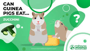 Zucchini is safe for dogs to eat. Can Guinea Pigs Eat Zucchini We Re All About Pets