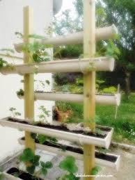Diy Cultiver Des Fraises En Hauteur Dans Des Gouttieres Cultiver Des Fraises Jardin En Hauteur Amenagement Jardin