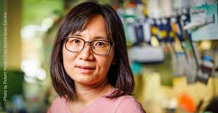 Making the leap from postdoc to principal investigator