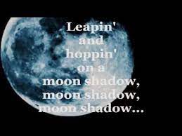 Pin On I M Being Followed By A Moon Shadow