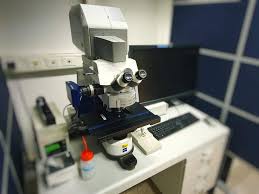 Zeiss Lsm700 Up2 Biop Epfl
