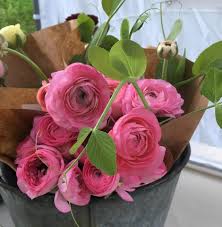 Maybe you would like to learn more about one of these? Trademarks Flower Farm