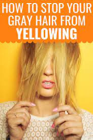 All You Need To Know About Yellowing Gray Hair Grey Hair Yellowing Grey Hair Care Grey Hair Turning Yellow