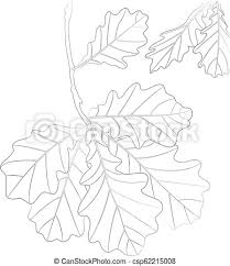 Oregon ducks coloring pages intended for motivate cool coloring. Vector Contour Illustration Of Oak Leaves For Coloring Book Vector Contour Illustration Of Oak Leaves Outline Drawing For Canstock