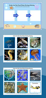 Pin On Geography And Habitat