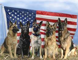 Sears does not currently ship to p.o. Military Discounts Pet Air Carrier Llc