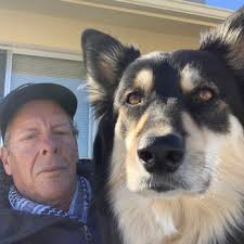 PET SUPPLIES PLUS SURPRISE