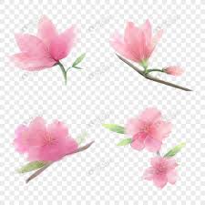 We did not find results for: Fiore Di Pesco Stile Acquerello Immagine Gratis Grafica Numero 401698096 Download Immagine Psd It Lovepik Com