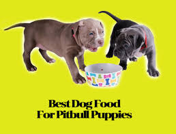 Ask your vet about hill's. Best Dog Food For Pitbull Puppies The Healthiest Selections For Your Dog Thingsidigg