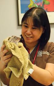 Our other furry friends