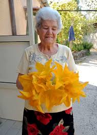 Maybe you would like to learn more about one of these? Traditional Italian Fried Zucchini Blossoms Courgette Squash Flowers Christina S Cucina