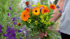 See which plants to choose for the best cut flower garden. How To Start A Cut Flower Garden From The Best Floral Picks To Care Tips And More Real Homes