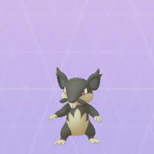 Is Alolan Rattata shiny in Pokémon Go? - Polygon