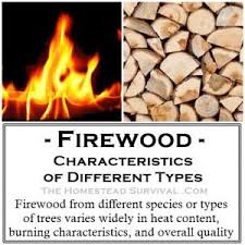 Firewoods 300x300 1 Firewood Characteristics Huge Chart To