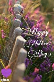 Look At The Birds Of The Air And The Flowers Of The Field Pin By Osaxy1 On Osaxy Picsart To Share Beautiful Flowers Flowers Bloom