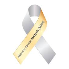 What does menghantar mean in english? Microtia Malaysia Microtiamal Twitter