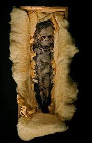 DNA From Tutankhamun's Mummified Fetuses Just Exposed a Royal Secret Egypt Tried to Bury 😱⚰ Deep inside King Tut's tomb, past the golden shrines and famous mask, Howard Carter found two small,