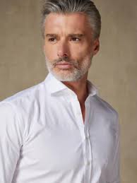 Adam wit pinpoint overhemd