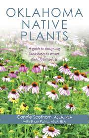 Mar 17, 2017 · the goldeneye phlox has five petals bright pink in color. Oklahoma Native Plants A Guide To Designing Landscapes To Attract Birds Butterflies Connie Scothorn Brian Patric 9781950871001 Amazon Com Books