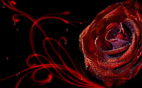 Rose Flower Wallpaper Hd Best Wallpaper Hd Red Roses Wallpaper Red Rose Pictures Rose Flower Wallpaper Pink white red roses dark background flowers modern floral wallpaper self adhesive peel and stick wall sticker wall decoration removable. rose flower wallpaper hd best