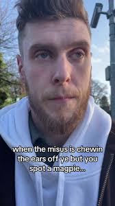 Understanding Magpie Superstitions in Irish Culture