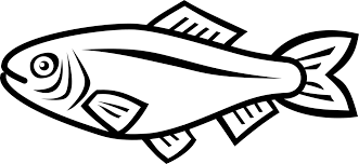 Ikan patin ialah salah satu dari sekian banyak jenis ikan air tawar yang begitu disukai oleh tidak heran jika terdapat banyak orang yang meracik umpan ikan patin untuk. Ikan Vector Sedang