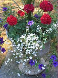Get ready for some botanical latin and. The Joy Of Summer By Pat Yager Container Gardening Flowers Container Flowers Blue Flowers Garden