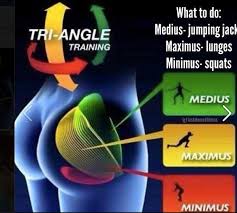 Glutes is a trimmed version of glut (gl utility toolkit). How To Get A Better Butt Step Up Your Knowledge Bret Contreras