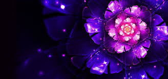 Cool Flower Background Image Flower Background Images Flower Backgrounds Amazing Flowers