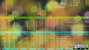 Graphing lines and killing zombies cheat sheet. 4 System Monitoring Tools For Linux Opensource Com