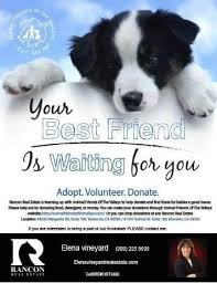 Rancon Presents Animal Friends Of The Valley Join Us To See What We Can Do As A Community To Help Animalfrie Animals Friends Your Best Friend Best Friends