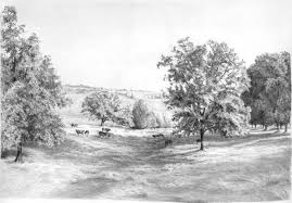 Graphite Pencil Drawings By Diane Wright Landschaftszeichnungen Landschaft Zeichnen Landschaftsskizze